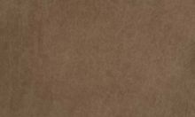 TEAM 7 cuir naturel tartufo TEAM 7 cuir naturel tartufo