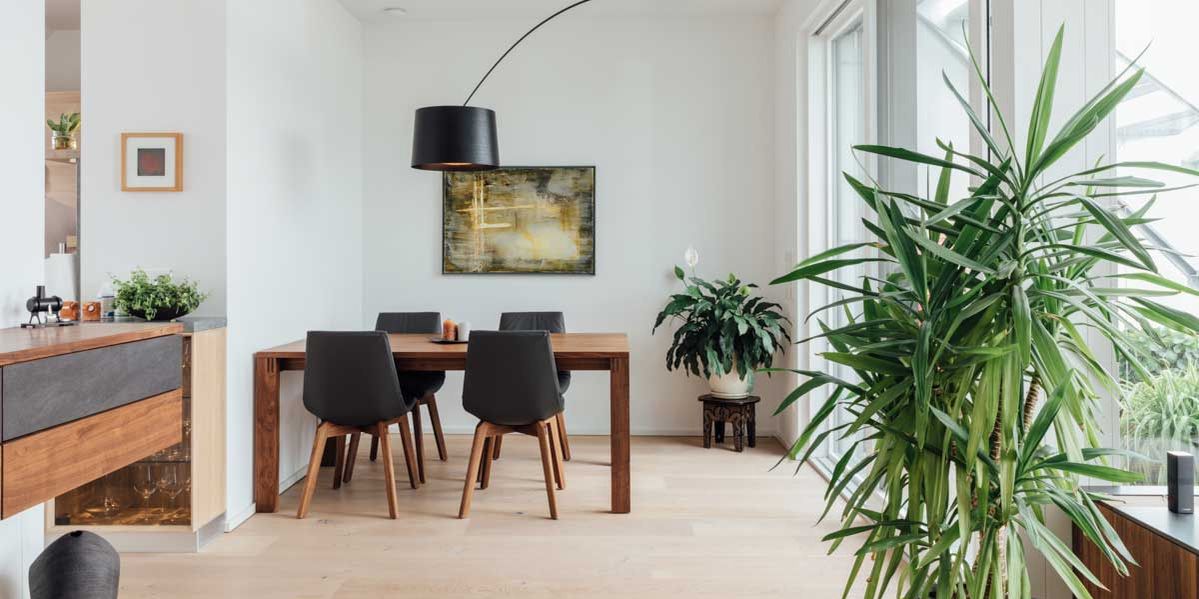 magnum Tisch mit lui Stühlen in Nussbaum von TEAM 7 Graz