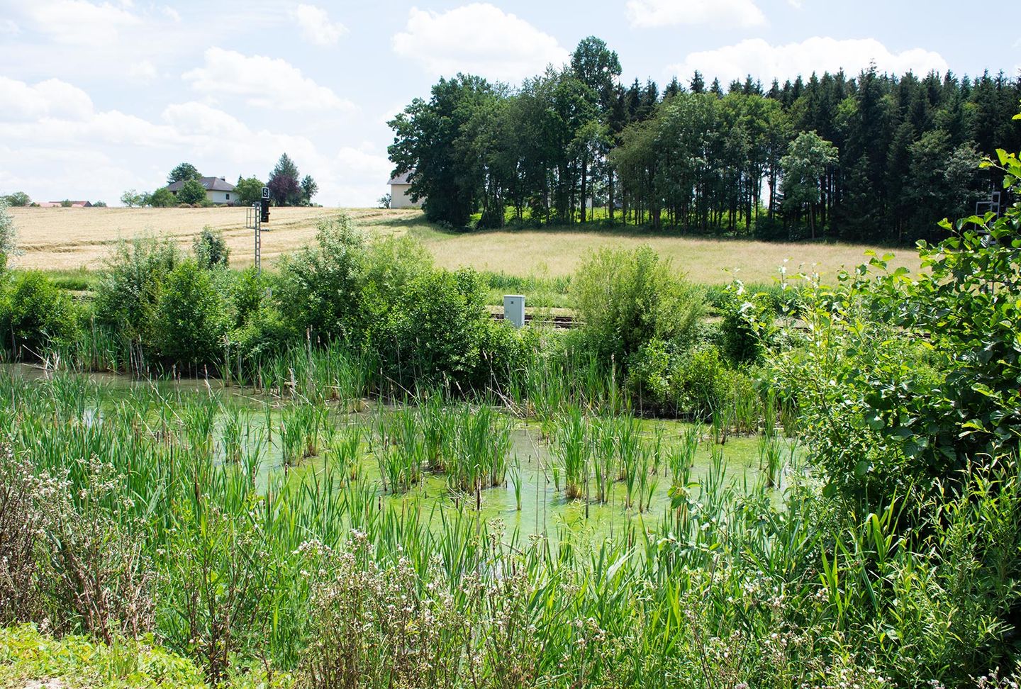 Pond at TEAM 7 in Pram. Pond at TEAM 7 in Pram.