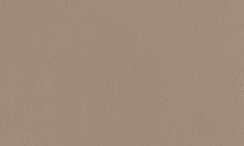 TEAM 7 leather colour pebble