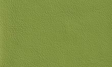 TEAM 7 cuir couleur pomme TEAM 7 cuir couleur pomme