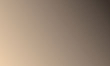 TEAM 7 Farbglas bronze